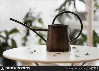 front view watering can table apartment with plants