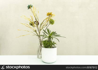 Frontal image of madagascar palm in white pot and decorative flowers behind on pale blue table and cream background