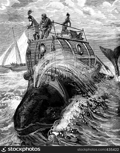 Frontispiece to travel back whale story illustrates, published by the newspaper Recreation, vintage engraved illustration. Journal des Voyages, Travel Journal, (1879-80).