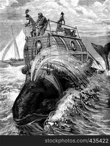 Frontispiece to travel back whale story illustrates, published by the newspaper Recreation, vintage engraved illustration. Journal des Voyages, Travel Journal, (1879-80).