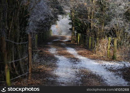 Frost covered woodland footpath