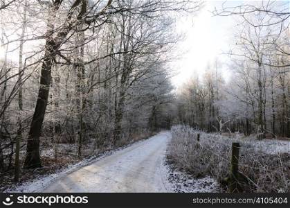 Frost covered woodland footpath