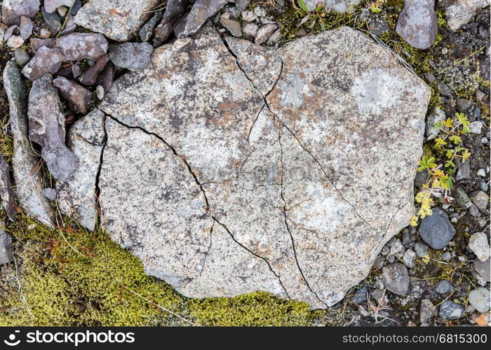 Frost leaves Destructive Patterns in a Stone, Iceland