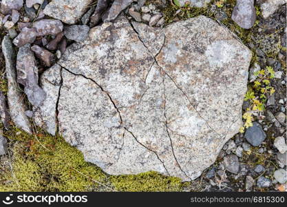 Frost leaves Destructive Patterns in a Stone, Iceland