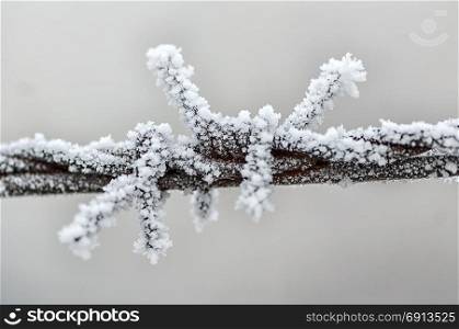 Frost on barbed wire. Winter scene.