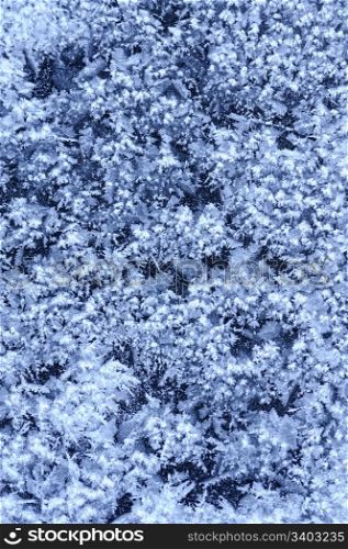 Frost texture, abstract background