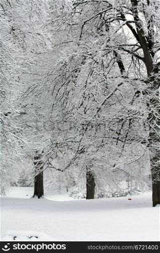Frosted trees and everything covered in snow makes a perfect fairytale landscape