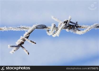 Frosty metallic barbed wire in winter