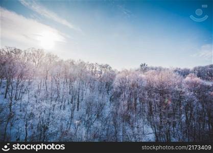 Frosty winter landscape in snowy forest. Sunny summits of the trees in a snow covered forest and blue clear sky. Winter landscape. Nature background. Frosty winter landscape in snowy forest