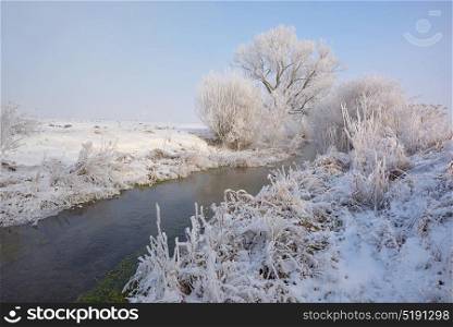 Frosty winter trees on countryside river