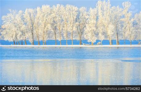 Frosty winter trees on Danube river
