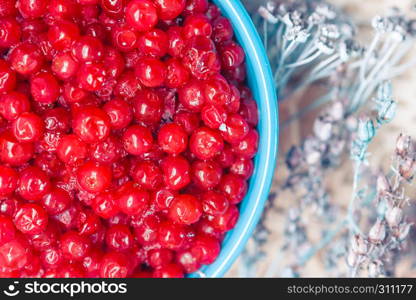 Frozen berries cranberry in turquoise cup closeup on a light blurred background. Selective focus.. Cranberry Closeup In Turquoise Bowl