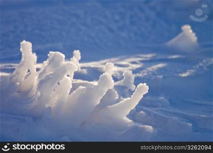 Frozen columns of ice on snow
