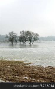 Frozen floodwaters near Macon, France