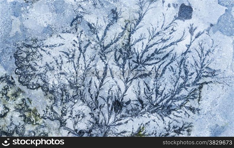frozen ice crystals on gray concrete stone