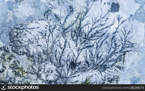 frozen ice crystals on gray concrete stone