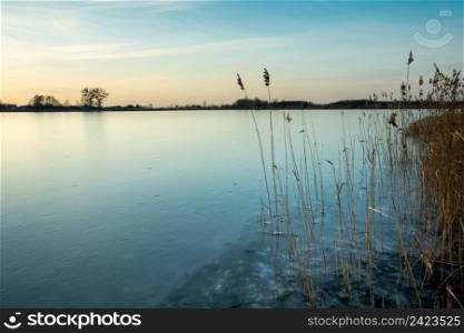 Frozen lake surface with reeds, an evening view, Stankow, Poland