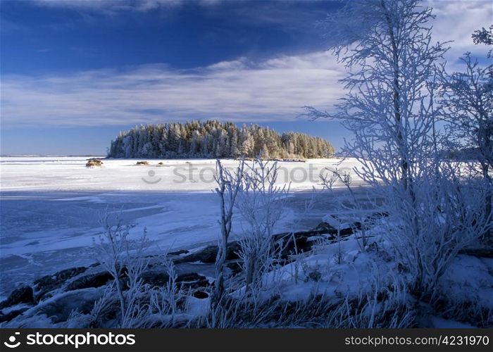Frozen lake with a small island. Blue sky and sunshine