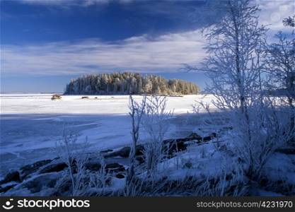 Frozen lake with a small island. Blue sky and sunshine