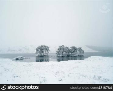 Frozen lake with trees, Corrour, Highland, Scotland