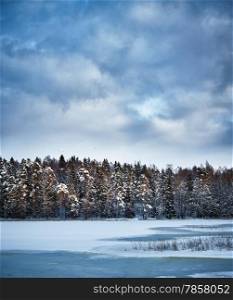 Frozen landscape, sea, forest and overcast sky