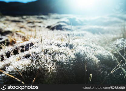 Frozen late autumn meadow close up. Winter background.