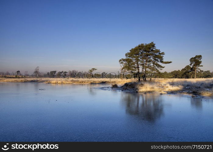 Frozen moorland pool in the Belgian nature reserve Kalmthouth Heath which is one of the oldest and largest nature reserves of Flanders. Frozen moorland pool