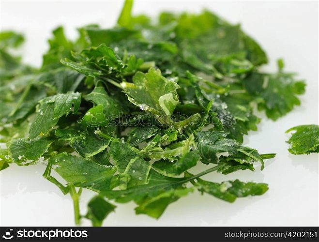 frozen parsley close up