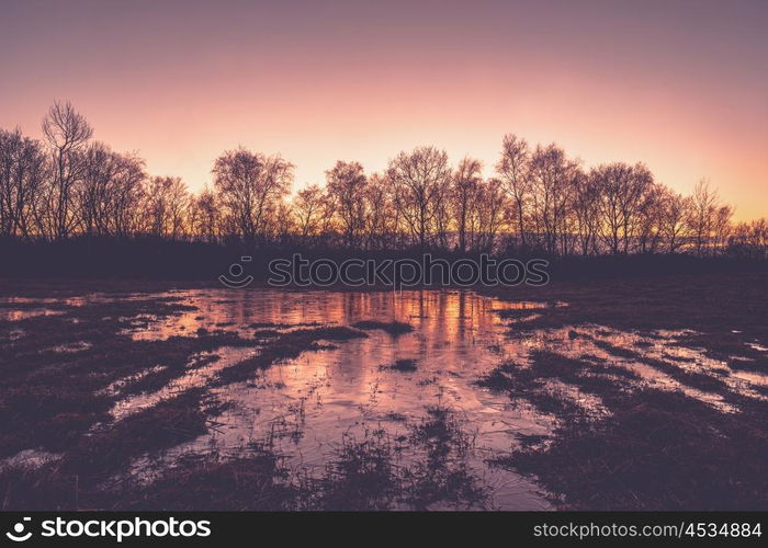 Frozen puddle in the sunset in the winter