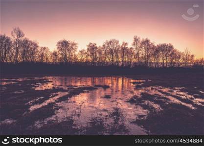 Frozen puddle in the sunset in the winter