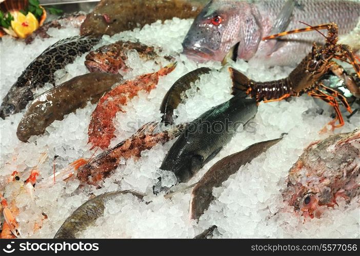 frozen sea fresh fish in ice