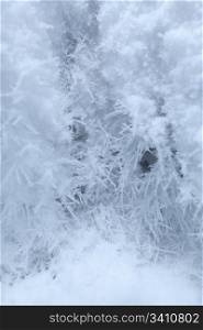 Frozen snow background texture. Closeup view photo
