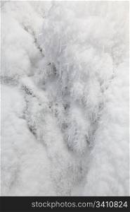 Frozen snow background texture. Closeup view photo