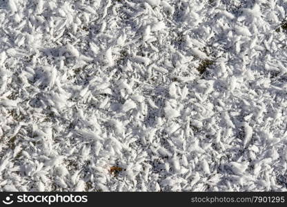 Frozen snow fell to the ground from the trees