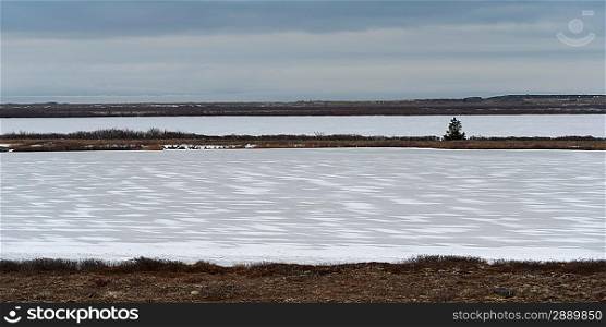 Frozen tundra landscape, Churchill, Manitoba, Canada