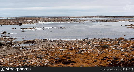 Frozen tundra landscape, Churchill, Manitoba, Canada