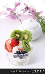 Fruit and yogurt