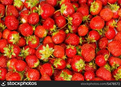 Fruit concept - red strawberries arranged as background