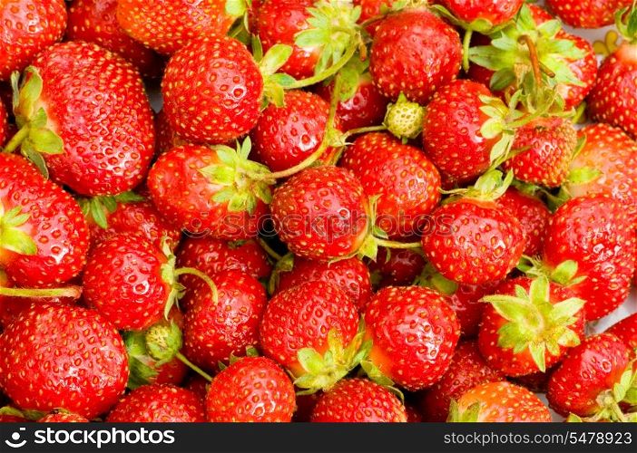 Fruit concept - red strawberries arranged as background
