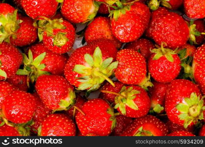 Fruit concept - red strawberries arranged as background