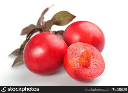 Fruit of red plum isolated on white. Prunus cerasifera var. pissardii