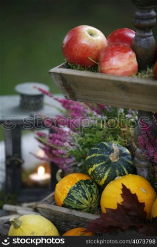 Fruit, vegetables and a lantern
