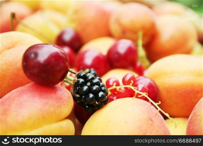 Fruits and berry