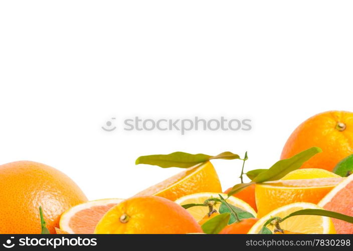 Fruits citrus on white