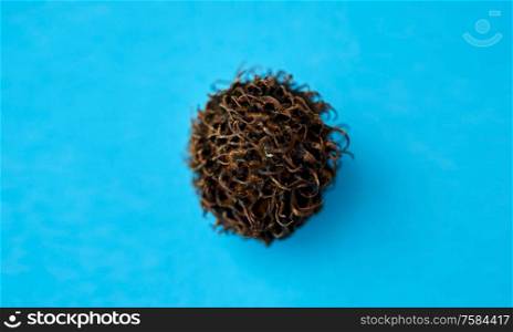 fruits, diet and food concept - close up of rambutan on blue background. rambutan fruit on blue background