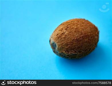 fruits, diet and food concept - close up of ripe coconut on blue background. close up of ripe coconut on blue background