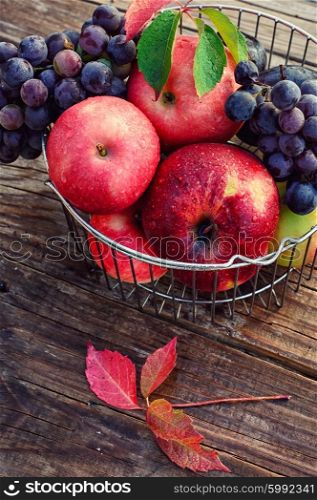fruits in the iron basket