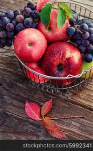 fruits in the iron basket