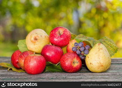 fruits in wooden table outdoor in the garden