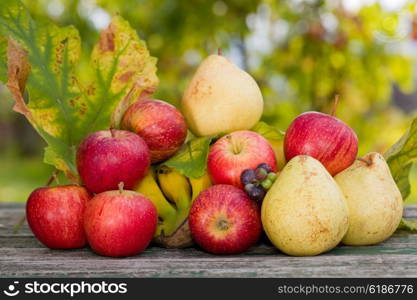 fruits in wooden table outdoor in the garden